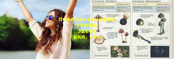 меф VHQ Балабаново