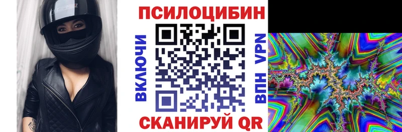 Псилоцибиновые грибы мицелий OMG маркетплейс Козельск